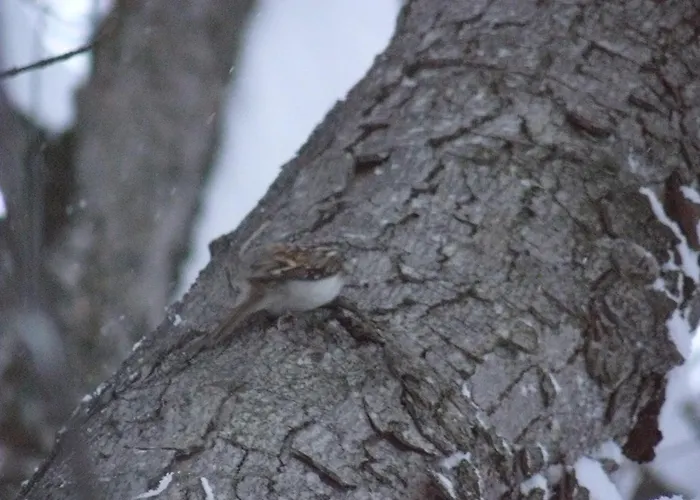 B&B De La Poya 발토우르넨체